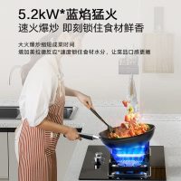 海尔(Haier)燃气灶台嵌两用嵌入式液化气灶具厨房5.2kw大火力猛火双灶智能熄火保护安全天然气灶JZT-Q2BE6