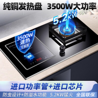 欢呼好太太 [3500W+铜线圈+铜盖]电磁炉煤气灶二合一气电两用灶双头燃气灶双灶双眼灶一电一气液化气电气灶A029