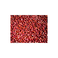 艾提尕红豆500克/袋