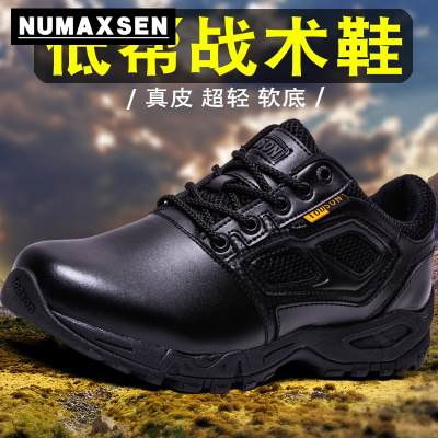 纽曼森（Numaxsen）战术鞋男真皮超轻低帮作训鞋蜘蛛靴战术靴防水耐磨软底作战鞋