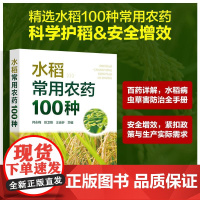 水稻常用农药100种 何永梅彭卫锋王迪轩 化学工业出版社9787122476975正版书籍