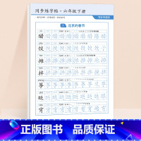 [六年级下]同步练字帖16张 [正版]二年级下册语文同步练字帖2024小学生字雷射控笔训练一三四五六年级人教版课堂一二类