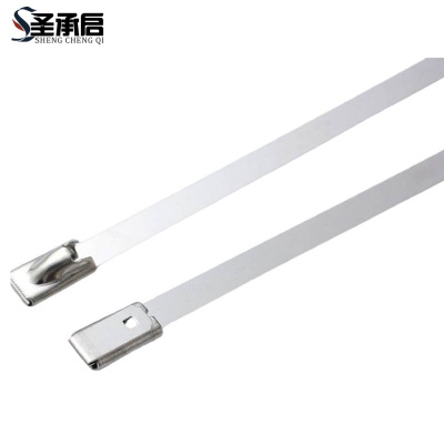 圣承启 固定扎带 10*600mm根