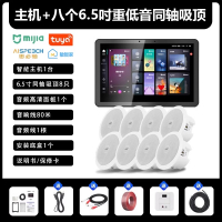 先科(SAST)智能AI家庭吸顶音响套装家用客厅无线蓝牙吊顶智能语音主机+8个6.5英寸重低音同轴吸顶音响