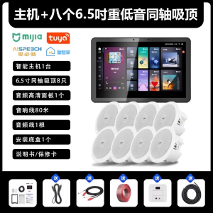 先科(SAST)智能AI家庭吸顶音响套装家用客厅无线蓝牙吊顶智能语音主机+8个6.5英寸重低音同轴吸顶音响