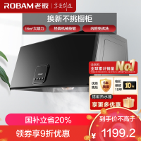 老板(ROBAM)油烟机 16m³大吸力 小尺寸抽油烟机中式 吸油烟机 单烟机 抽烟机 脱排油烟机 3009
