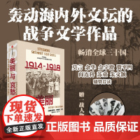美丽与哀愁 第一次世界大战个人史 皮特·恩格伦 著 历史