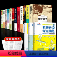 [新版15册]初中阅读+名著导读 [正版]初中必读名著十二本 初一课外阅读书籍上册语文中考读物全套中学生老师朝花夕拾鲁迅