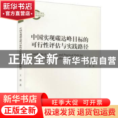 正版 中国实现碳达峰目标的可行性评估与实践路径 王勇 经济科学