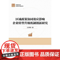 区域政策协同效应影响企业转型升级机制创新研究 王伊攀 著 中国经济出版社 经济理论、法规 各部门经济