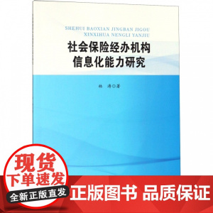 社会保险经办机构信息化能力研究