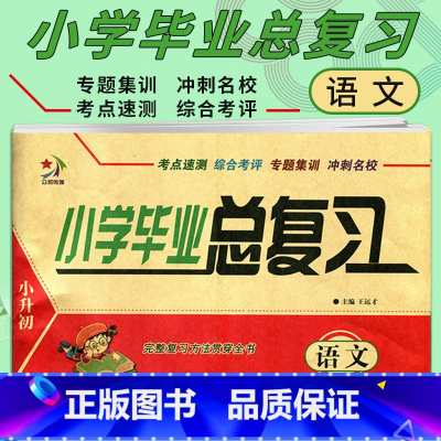[正版]2023 小升初小学毕业总复习 语文 南海出版社 六年级小学毕业升学语文总复习综合测试卷考点速测专题集训期末冲