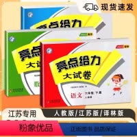3本[语文人教+数学苏教+英语译林] 三年级上 [正版]江苏2024版亮点给力大试卷一年级二年级三年级四年级五年级六年级