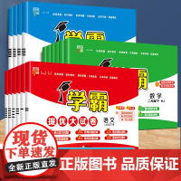 2025小学学霸提优大试卷一年级下册二年级下三四五六年级上册语文人教版数学苏教北师英语译林电子同步训练期末冲刺试卷测试卷