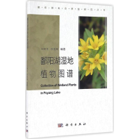 音像鄱阳湖湿地植物图谱王晓龙,徐金英 编著