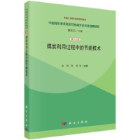音像煤炭利用过程中的节能技术金涌,陈勇等编著