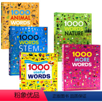 [5册套装]DK图解词典 [正版]dk1000词 常用词自然动物科学1000 Useful Words 英文原版 插图图