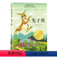 兔子坡 [正版]苹果树上的外婆书三年级儿童文学大奖小说小学生6-8-9-12周岁二三四五年级寒假课外书 阅读图书籍非