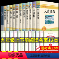 [配套人教版]九年级上下册必读正版12册 [正版]九年级2册 简爱和儒林外史吴敬梓原著完整版阅读初三课外书初中课外阅读书