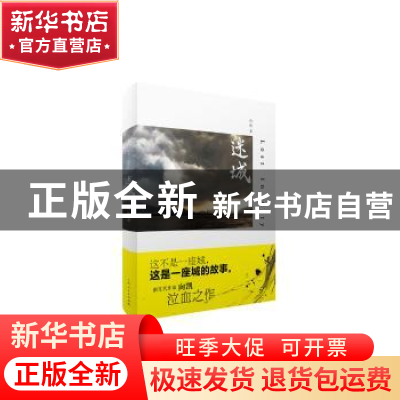 正版 迷城 向凯著 上海人民出版社 9787208124950 书籍