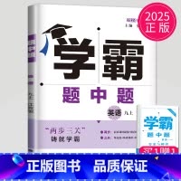 英语 九年级上 译林版 九年级/初中三年级 [正版]2025学霸题中题九年级下册上册数学物理英语化学苏科版译林版苏教人教