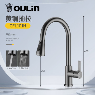 欧琳(OULIN)厨房水龙头抽拉龙头冷热水可旋转龙头多功能花洒出水花洒头 铜主体L101H