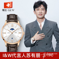 瑞士嘉年华(CARNIVAL)正品手表全自动机械表 男表休闲时尚皮带男士腕表进口机芯防水品牌复古腕表528G