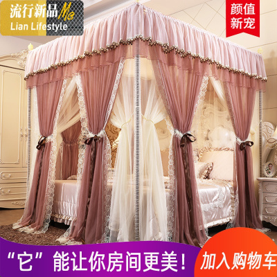双层公主风蚊帐家用1.8m1.5床幔2米三开加密加厚落地宫廷纹账子 三维工匠