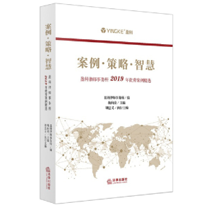 正版新书]案例·策略·智慧:盈科律师事务所2019年优秀案例精选盈