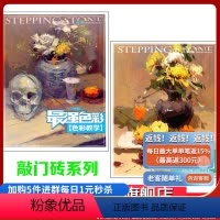 [正版]优惠套装2册 强色彩(色彩静物色稿教学)/敲门砖系列《色彩教学》《色彩静物色稿教学》97872290823