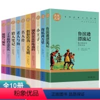 世界十大名著 全10册 [正版]全套10册 世界十大名著 小学生课外书四年级至六年级老人与海假如给我三天光明小王子小学