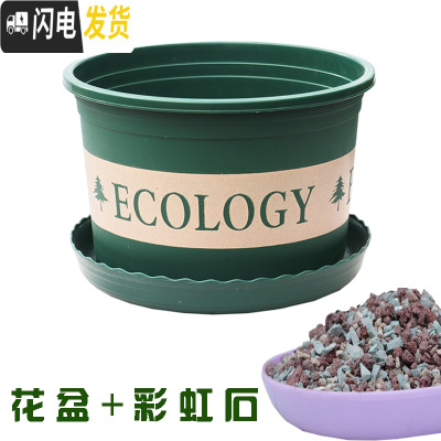 三维工匠塑料玫瑰盆栽花肉肉绿萝月季专用加伦树脂家用特大号超大加仑花 [3个盆]+彩虹石2斤 矮胖1L(口径13.花盆容器