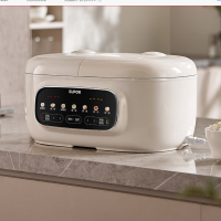 苏泊尔(SUPOR)电饭煲家用0涂层不锈钢双内胆2.5L+2.5L容量3-6人使用 立体加热多功能SF25TC1062