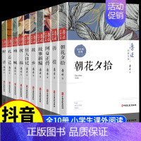 [全10册]鲁迅经典作品全集 [正版]鲁迅全集原著全十册六七年级课外阅读经典作品散文集杂文集朝花夕拾狂人日记故乡呐喊孔乙