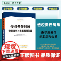 正版 侵权责任纠纷指导案例与类案裁判依据 人民法院民商事指导案例与类案裁判依据 中国法制出版社 978752163632