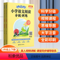 语文阅读分级训练(1年级上下册) 小学通用 [正版]2023版名师课堂小学语文阅读分级训练 一二三四五六年级上下册赠真人