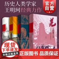 羌在汉藏之间/游牧者的抉择/华夏边缘/反思史学与史学反思 历史人类学家王明珂作品汉帝国世纪文景 中国历史民族族群史学研究