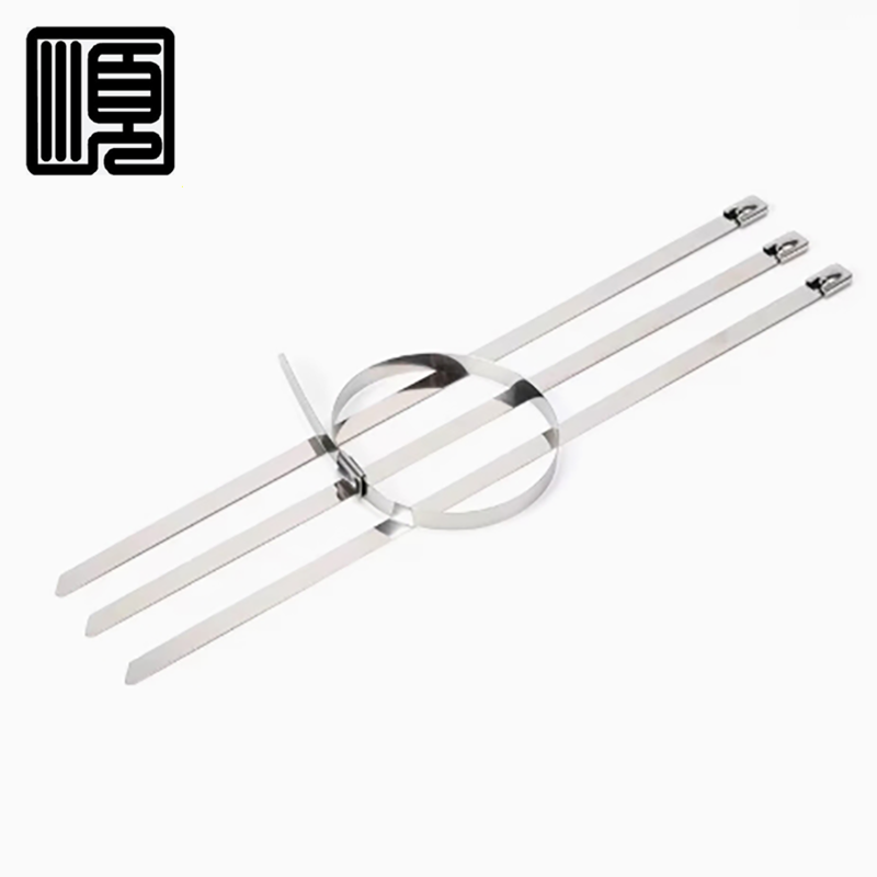 顺心捷 不锈钢扎带 4.6×500 mm 条