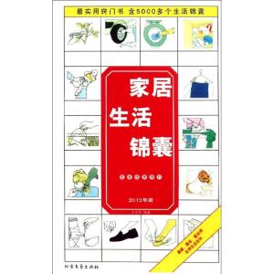 正版新书]家居生活锦囊王永军9787531728078