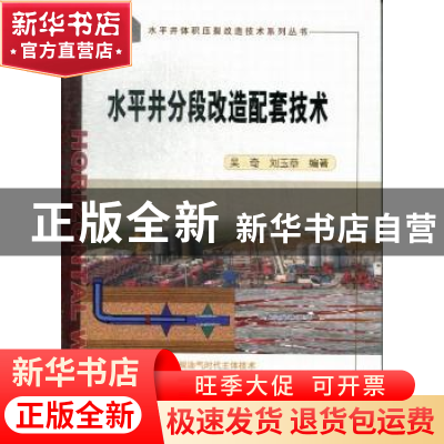 正版 水平井分段改造配套技术 吴奇,刘玉章编著 石油工业出版社