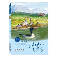 [正版新书]长白山下是我家中学生寒假读书征文活动推荐书初中生寒假学校推荐书假期课外阅读书初中七八九年级课外阅读书课外名著