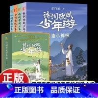 [4册盒装]诗词歌赋少年游 [正版]全套4册张向荣著诗词歌赋少年游汉代诗赋唐诗宋词明代小说国学经典古诗文传统文化知识小学