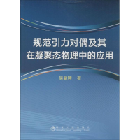 醉染图书规范引力对偶及其在凝聚态物理中的应用9787502465292