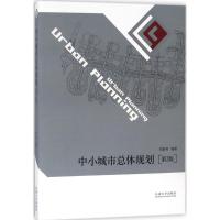 中小城市总体规划