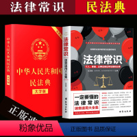 [正版]中华人民共和国民法典 大字版中国和法律常识 法律常识速查速用大全集 民法典全2册 法律常识一本全 法律基础知识