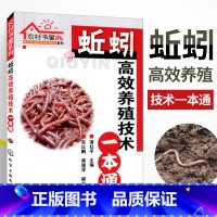 [正版]蚯蚓高效养殖技术一本通 蚯蚓养殖技术大全 科学养殖蚯蚓农村书屋系列 蚯蚓饲料喂养方法 科学饲养高产量蚯蚓养殖病