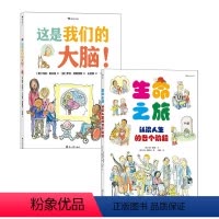 这是我们的大脑+生命之旅 [正版]这是我们的大脑+生命之旅套装 4-6岁科普百科绘本