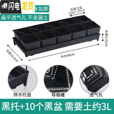 三维工匠美莳控根多肉花盆塑料套装组合创意透气肉肉控型盆器 [新款百慕盆]+[排水黑托]+10个黑盆(7.35cm花盆容器