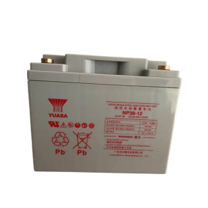 汤浅YUASA 铅酸蓄电池12V38Ah NP38-12 个