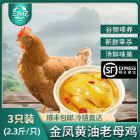 [苏鲜生推荐]三物纪 皖南金凤黄油老母鸡2.3-2.6斤/只 3只装 新鲜现杀冷冻农家慢养走地鸡